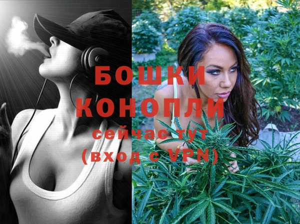 mix Инта