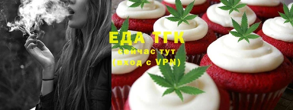 mix Инта