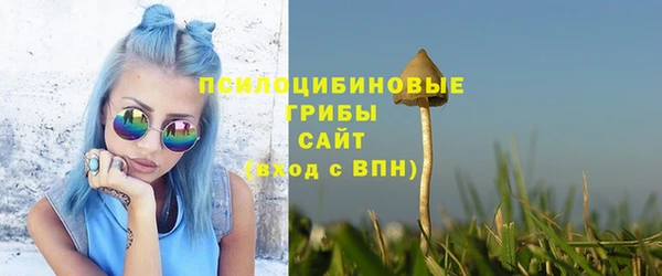 mix Инта