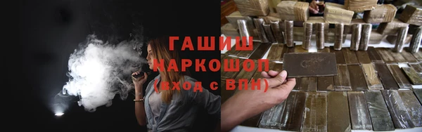 mix Инта