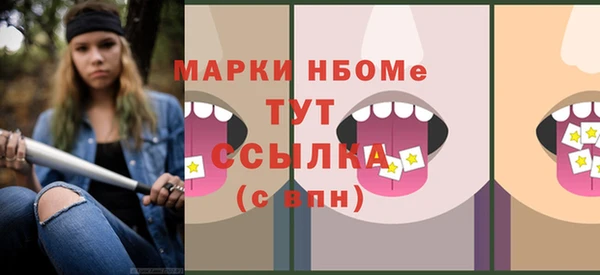 mix Инта
