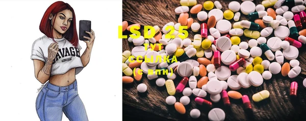 mix Инта