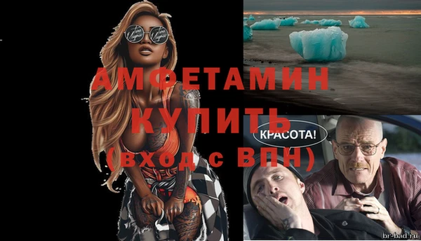 mix Инта