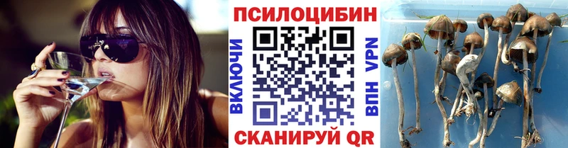 Купить закладки  Белоусово  Псилоцибиновые грибы Cubensis 